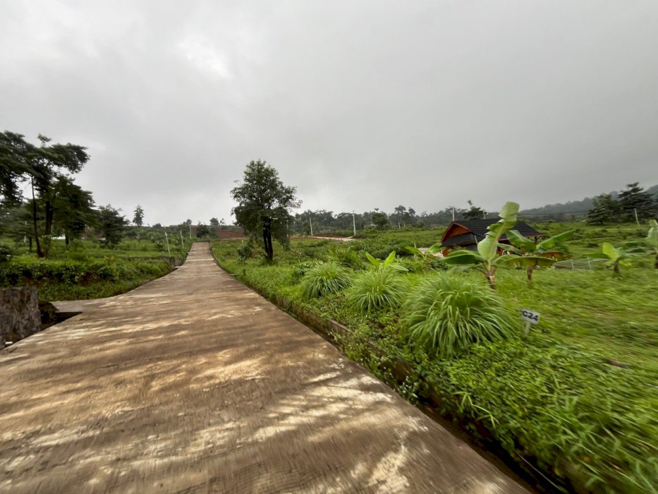 Tanah murah cuma 60jutaan/100m  pinggir jalan cocok untuk investasi