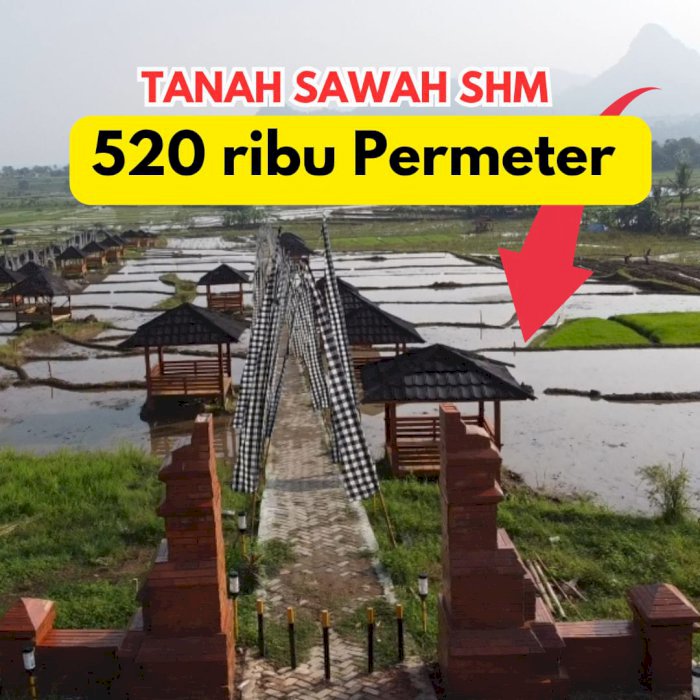 Jual tanah sawah murah pinggir jalan panen 3x setahun 520ribu /meter
