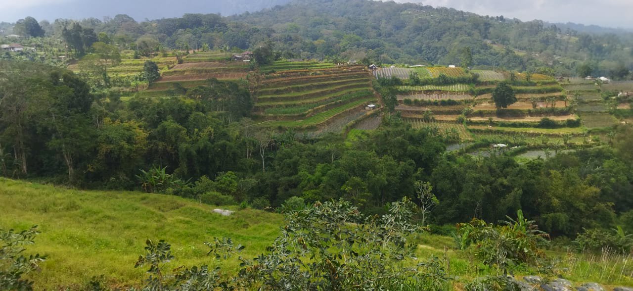 Dijual tanah strategis kawasan pariwisata Bedugul, Bali.