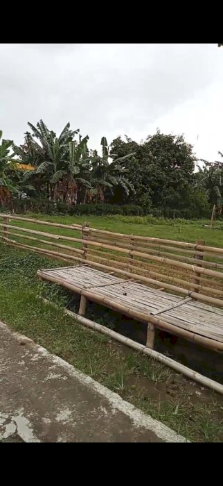 TANAH DIPERKAMPUNGAN YANG NYAMAN DAN ASRI