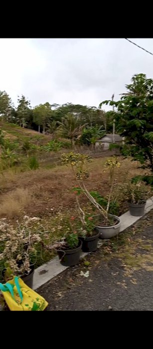 Dijual tanah bersertifikat 50 ubin