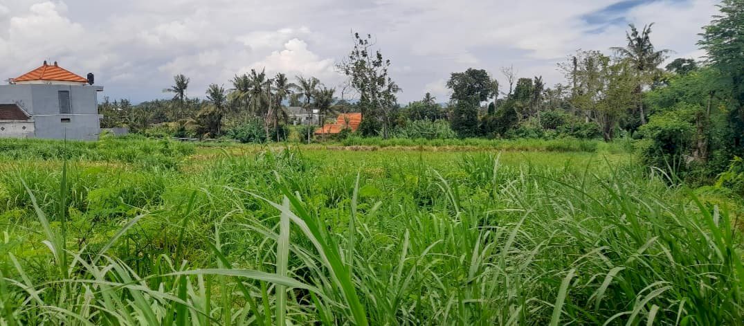 Di Jual Tanah Murah Di Blahbatuh Gianyar Bali