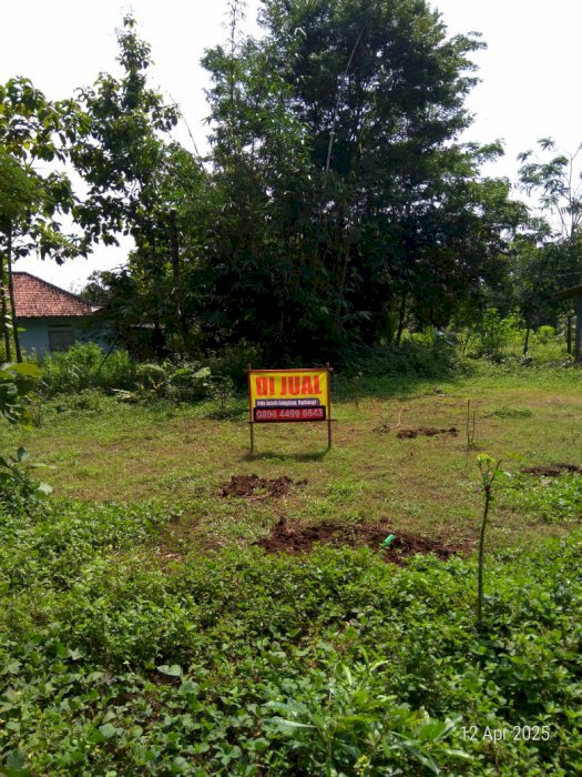 Di Jual Tanah Murah SHM Di Grantung Purworejo