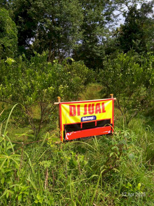 Tanah Murah Lokasi Strategis Di Grantung Purworejo