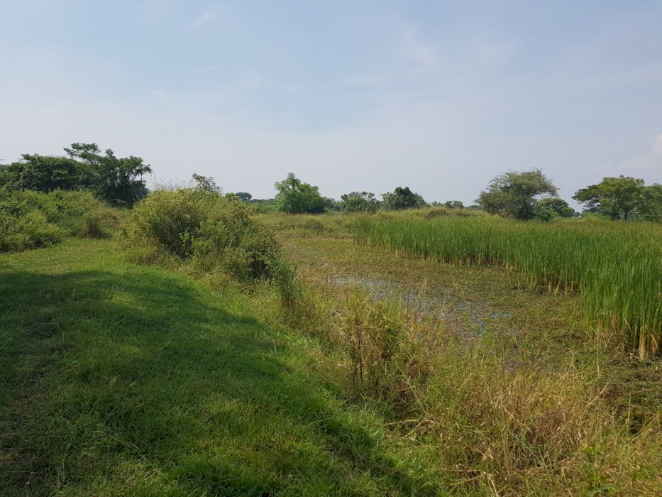 tanah dijual di gresik