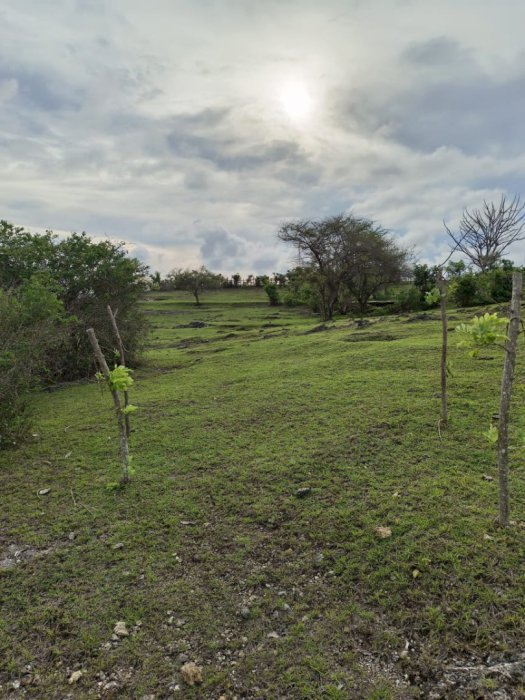 Jual Tanah Lokasi Pantai Barak Pandawa Kuta Selatan Badung