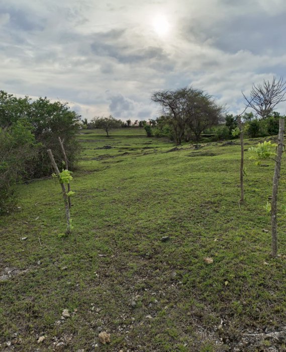 Tanah Di Jual Di Pantai Barak Pandawa Kuta Selatan Bali