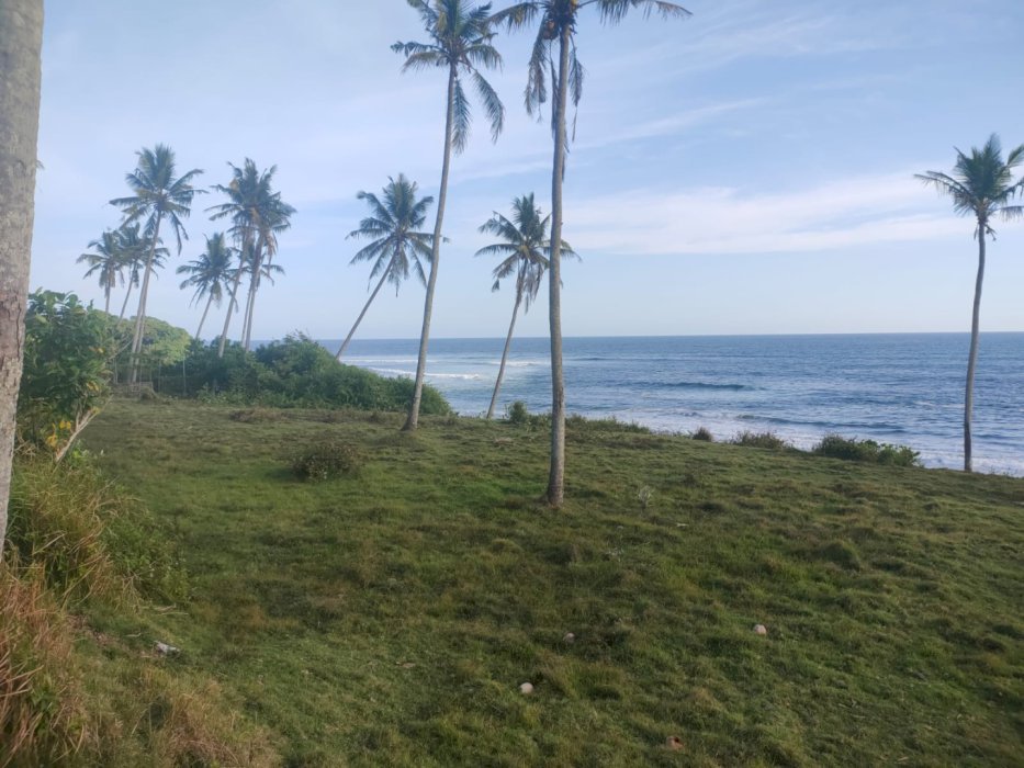 Jual Tanah Lokasi Pantai Balian Tabanan Bali