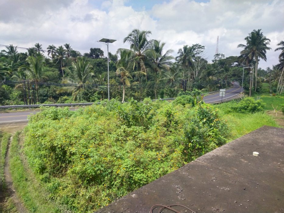 Jual Tanah Pinggir Jalan Utama Provinsi Perean Tengah Denpasar