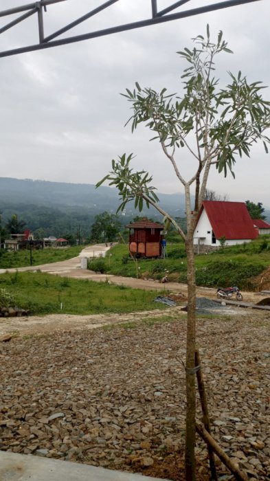 Tanah kavling  villa wisata Fasilitas lengkap di bogor