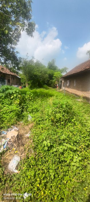 Dijual cepat tanah luas 514m2 kec. Kutorejo Mojokerto Jawa Timur