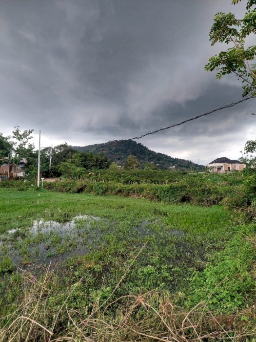 Jual Tanah Murah Lokasi Strategis Di Moncongloe Maros Makassar