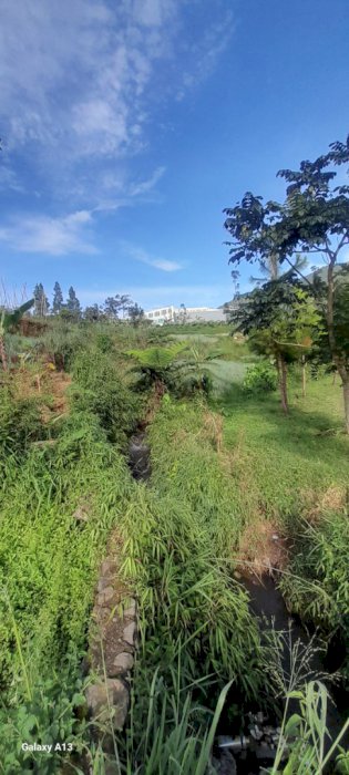 Dijual tanah cocok untuk investasi  Batulawang kabupaten Cianjur