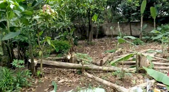 Dijual tanah kavling murah di Jl. H. Raidih cipedak jakarta selatan