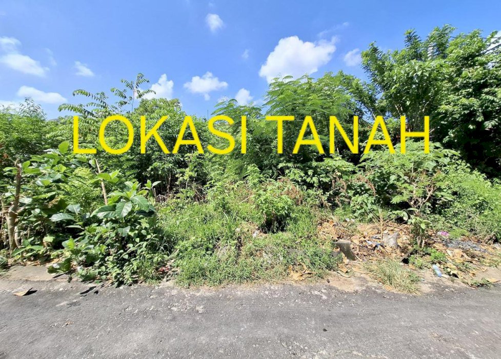 Jual Tanah Lokasi Pecatu Kuta Selatan Badung Bali