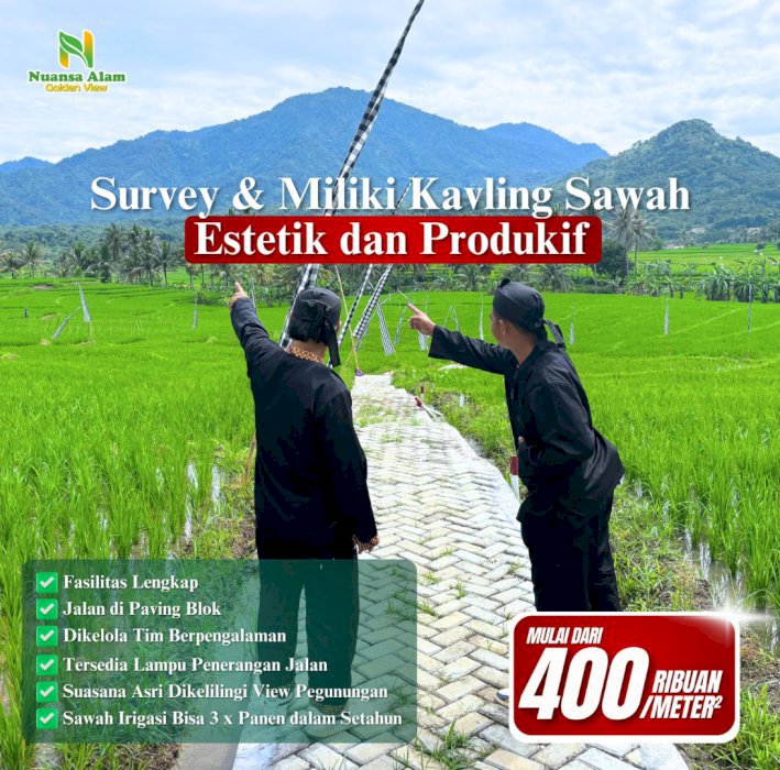 Jual sawah aktif panen 3x setahun