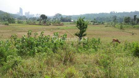 TANAH DI TAJUR - CITEUREUP BOGOR