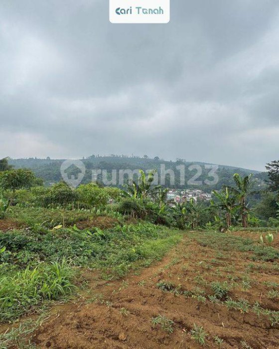 Tanah Jual di Megamendung sukaresmi Bogor