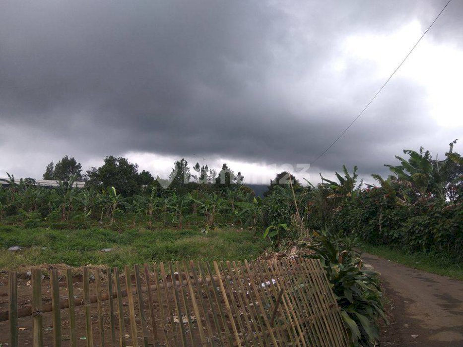 Tanah Jual Murah Bogor, Tamansari