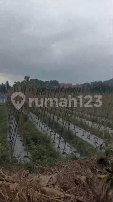 Tanah Jual Murah Bogor ,