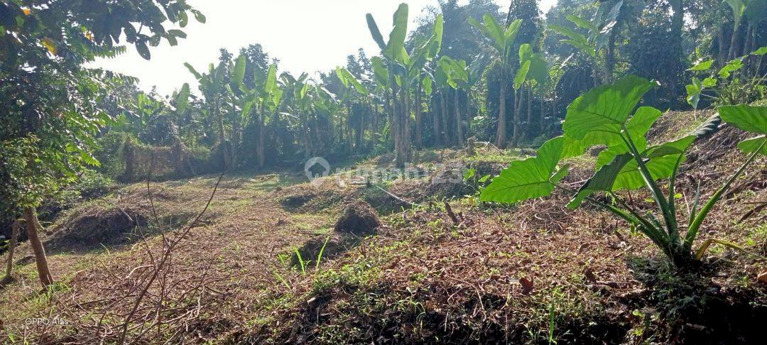 di Jln Raya Tamansari Curug Nangka - Bogor, Bogor