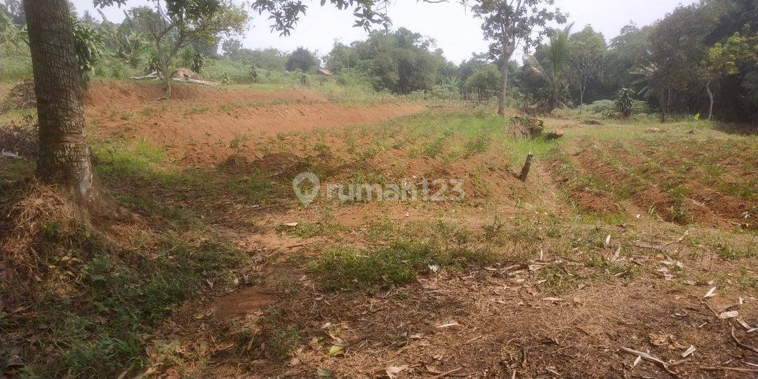 TANAH MURAH DI TAJUR CITEUREUP BOGOR