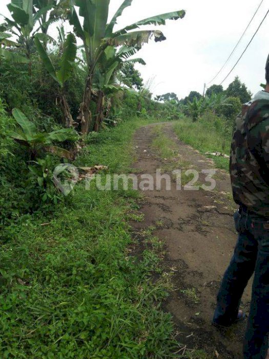 Di Jual Tanah Di Gunung Geulis Bogor