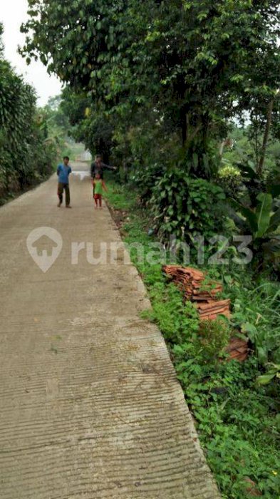 Di Jual Tanah Di Tamansari , Sukajaya Ciapus Bogor