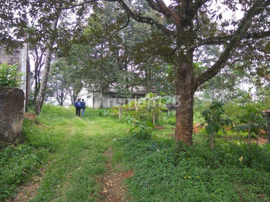 Tanah Sentul City, Cijayanti Bogor