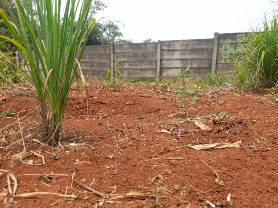 Kavling Siap Bangun Kota Wisata Indah Dekat Tol Nagrak
