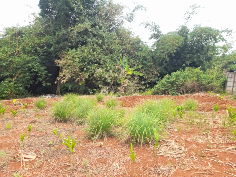 Promo Kavling Kota Wisata Indah Dekat Mall & Tol Nagrak