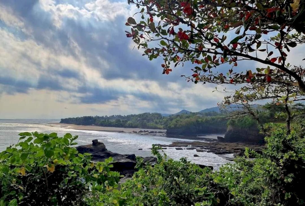 Jual tanah view sawah di Tabanan Bali