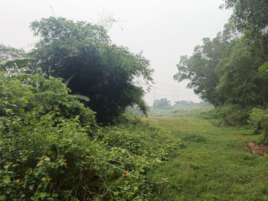 Delta View Kavling Siap Bangun Dekat Tol & Kawasan Industri