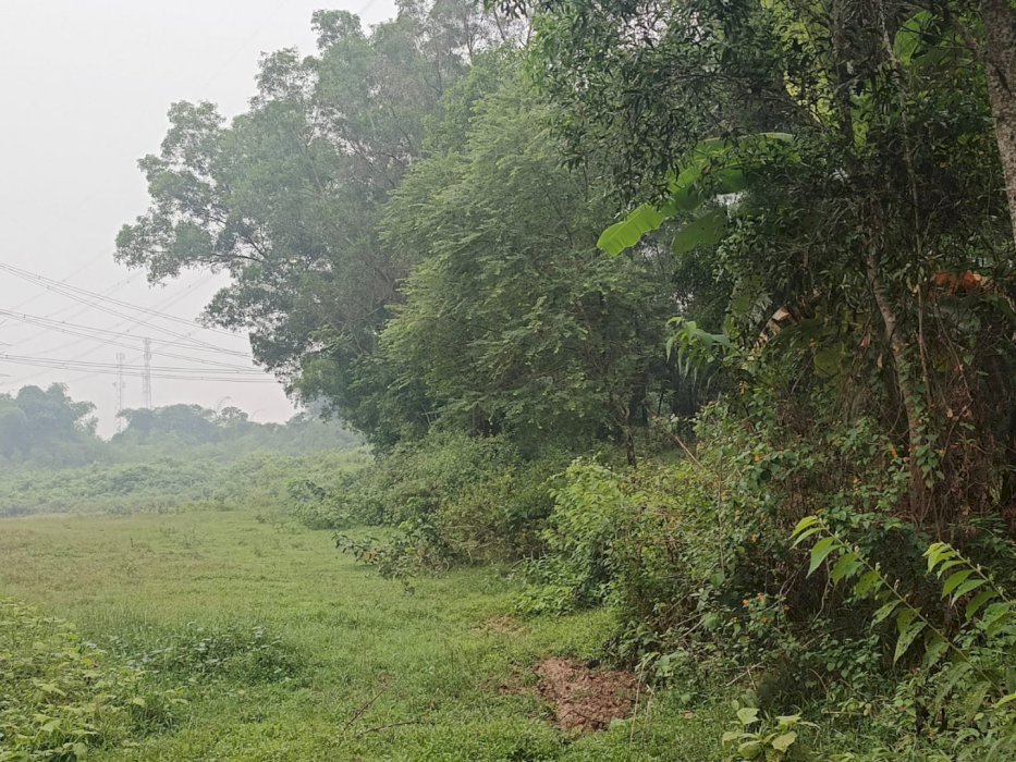 Promo Kavling Delta View, Lokasi Dekat Tol Japek 2 & Jababeka