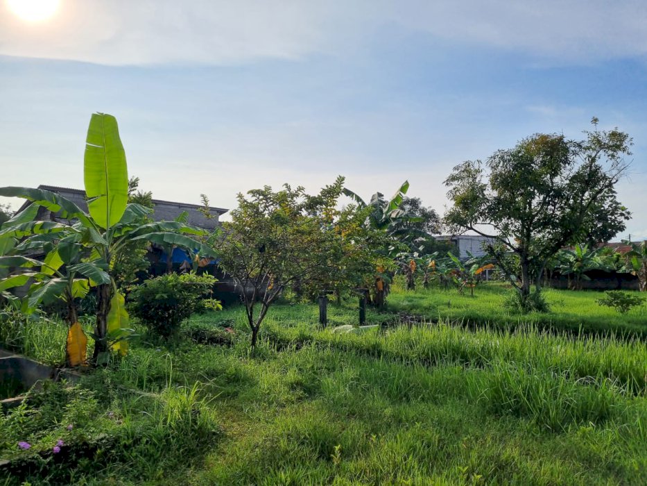 Jual Tanah Ideal untuk Investasi Jangka Panjang di Bogor