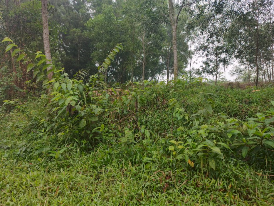 Kavling Strategis Delta View, Akses Mudah Tol & Industri Jababeka