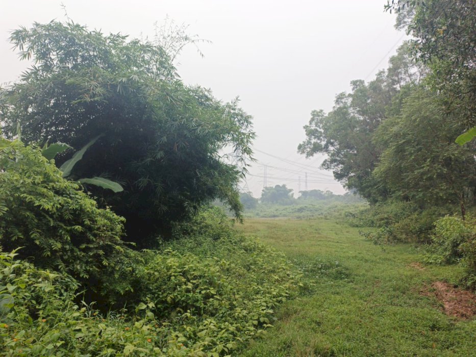 Tanah Kavling Delta View, 5 Menit ke Tol Japek 2 & Jababeka