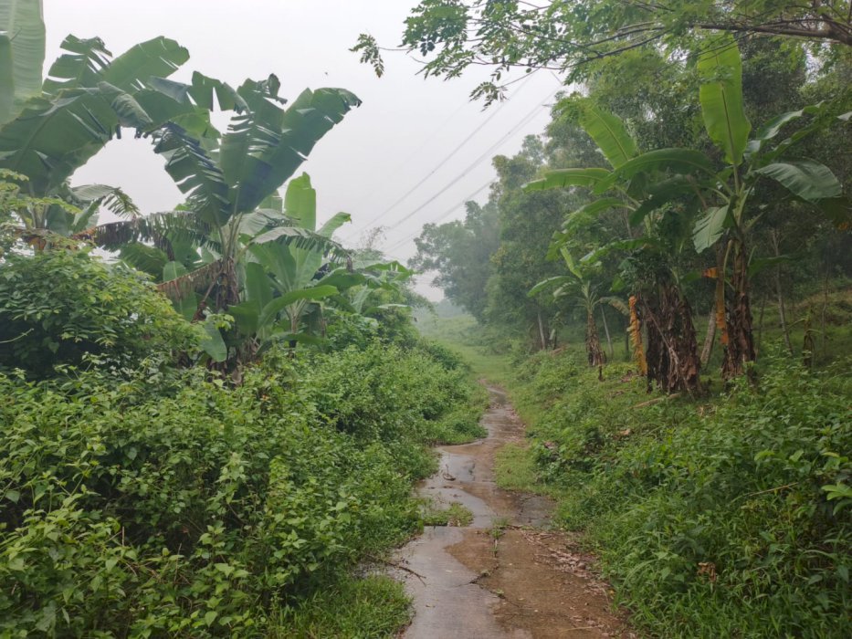 Kavling Delta View Siap Bangun Dekat Kawasan Industri Jababeka