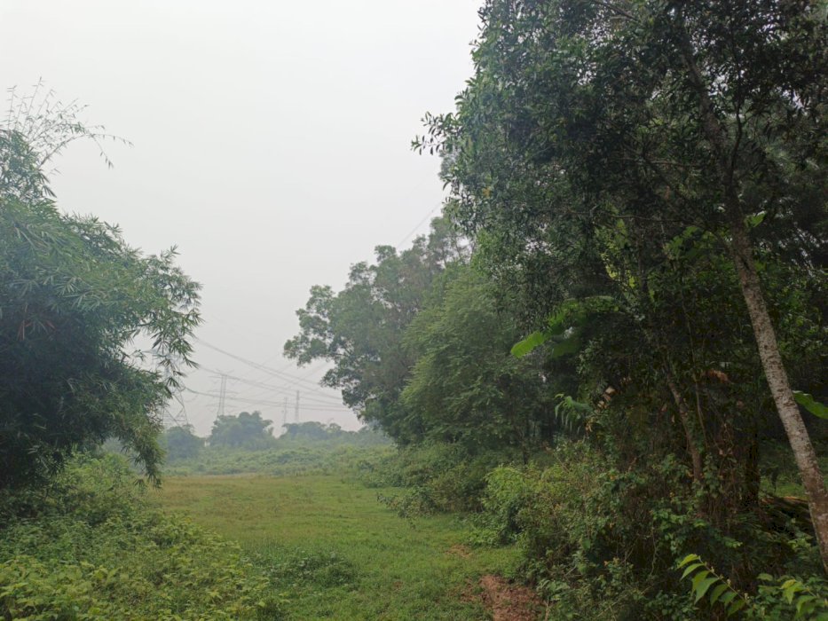 Investasi Kavling Delta View Dekat Tol Japek 2 & Kawasan Niaga