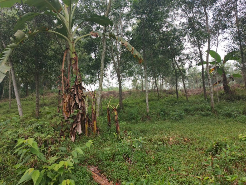 Promo Tanah Kavling Delta View, Akses Tol & Kawasan Industri