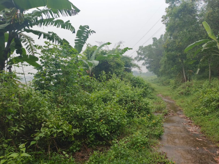 Tanah Kavling Delta View Lokasi Strategis Dekat Tol Japek 2