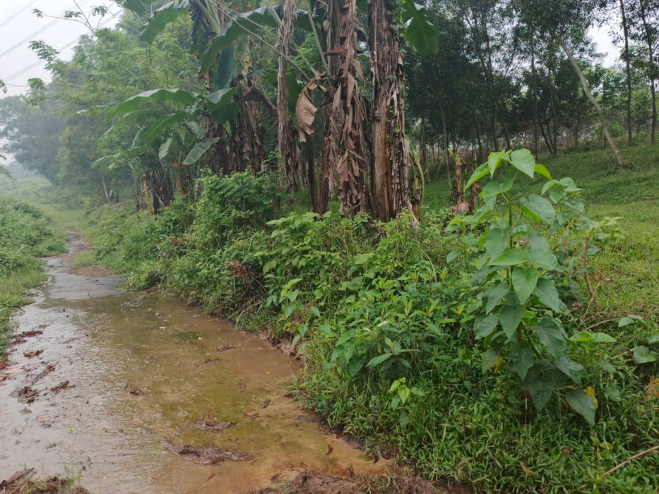 Kavling Delta View, Dekat Tol Japek 2 & Fasilitas Umum Lengkap