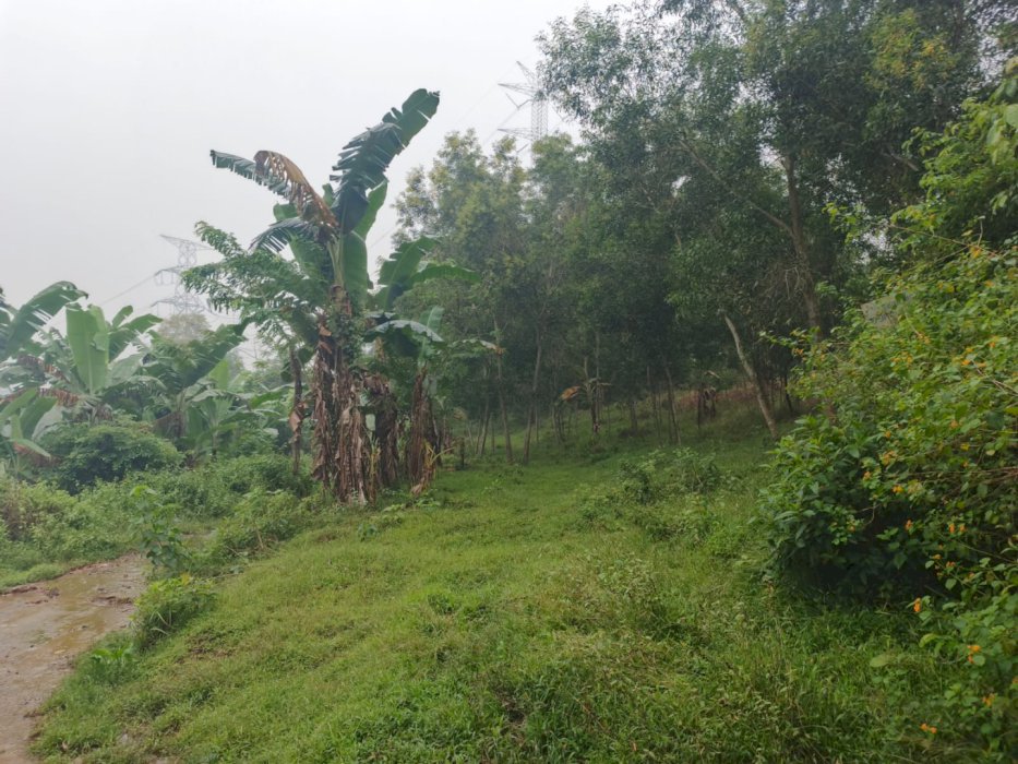 Kavling Murah Delta View Dekat Kawasan Bisnis & Tol Japek 2