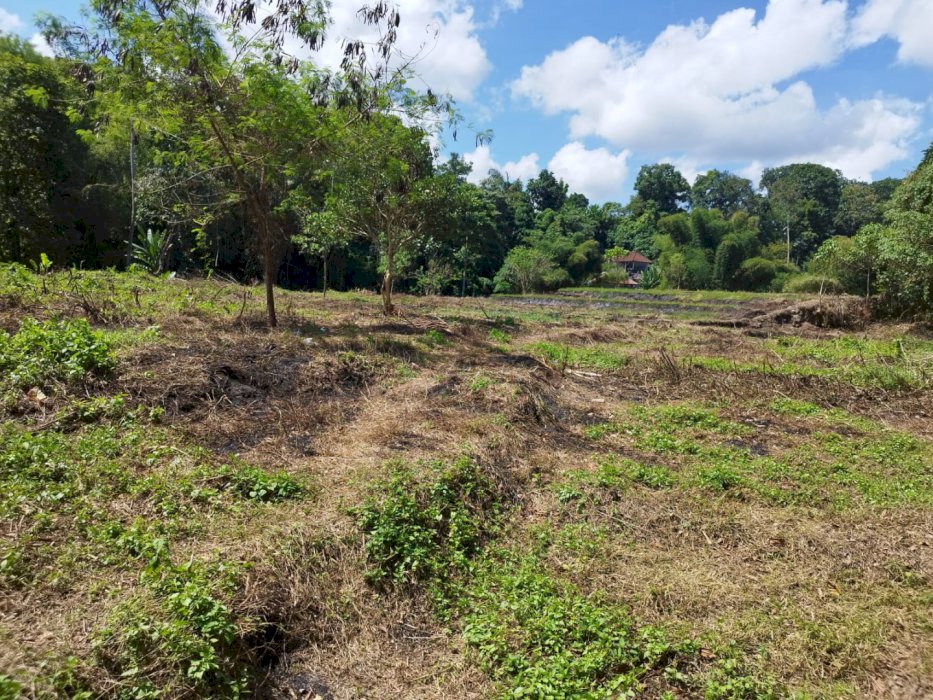 Dijual tanah istimewa di Bengkel Kediri Tabanan