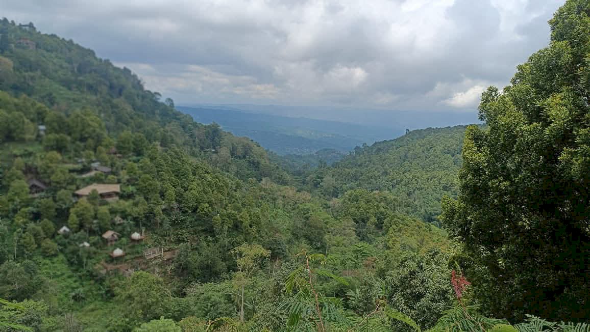 Tanah murah premium di Munduk Gobleg Buleleng.