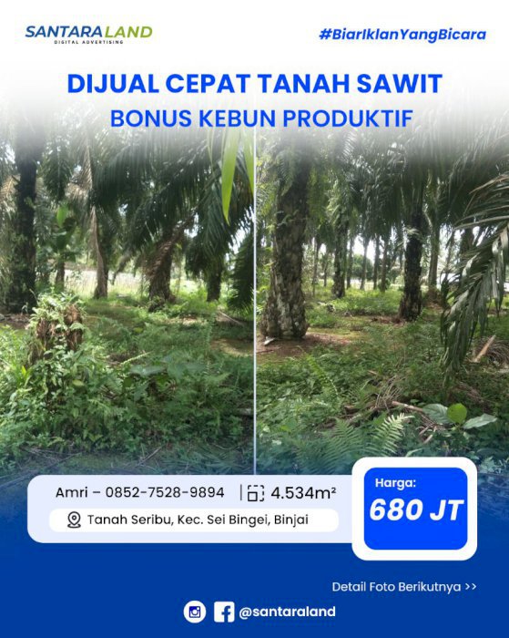 DIJUAL CEPAT TANAH SAWIT – BONUS KEBUN PRODUKTIF