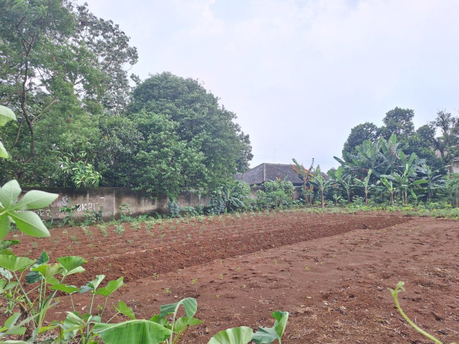 Kavling Murah Dekat Kota Depok, Tol Sawangan, dan Stasiun