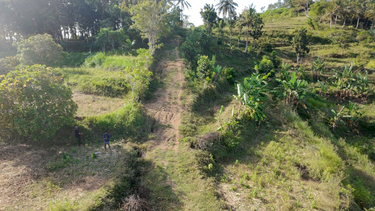Ringkasan Montong Ajan adalah salah satu dKecamatan Praya Barat Daya