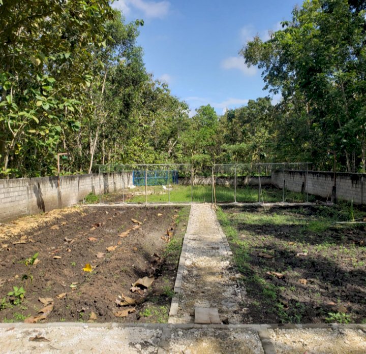 Jual Tanah Pekarangan Cocok Untuk Peternakan, Perikanan dan Pertanian