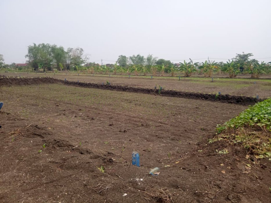 Di Jual Tanah Murah Strategis Di Desa Beton Menganti Gresik